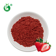 Organic Freeze Dried Strawberry Fruit Powder