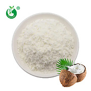 100% Pure Organic Bulk Coconut Milk Powder