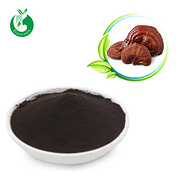 Natural Organic Reishi Mushroom Shell-broken Spore Powder