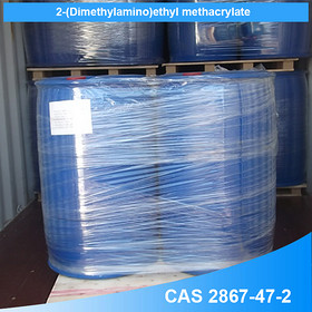 Dimethylaminoethyl Methacrylate