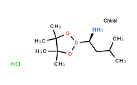 (R)-3-methyl-1-(4,4,5,5-tetramethyl-1,3,2-dioxaborolan-2-yl)butan-1-amine hydrochloride