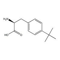 4-tert-Butyl-L-phenylalanine