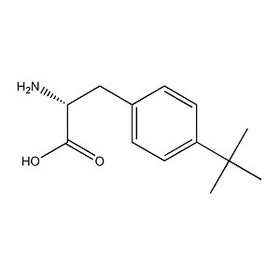 4-tert-Butyl-D-phenylalanine