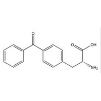 4-Benzoyl-D-phenylalanine