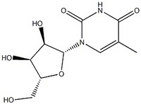 5-methyluridine (produced by synthesis)