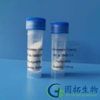 Corticostatin I (rabbit)?
