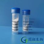 Corticostatin I (rabbit)?