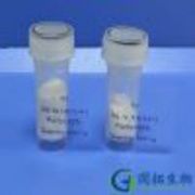 R9/(Arg)9 peptide/Nonaarginine