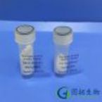 Fibrinogen-Binding Inhibitor?Peptide/Fibrinogen Binding Inhibitor