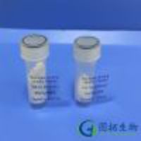 Fibrinogen-Binding Inhibitor?Peptide/Fibrinogen Binding Inhibitor