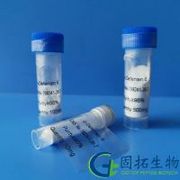 α-Defensin 6