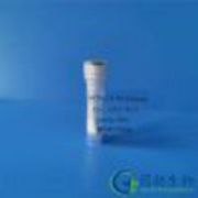 ACTH (18-39)/Corticotropin-Like Intermediate Peptide (CLIP)
