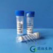 ACTH (3-24)/Tetracosactide (3-24)