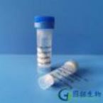 ACTH?(1-39)