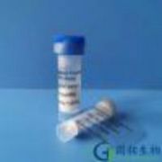 Seminalplasmin Fragment (SPF) Analog