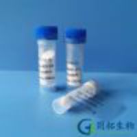 ACTH?(4-10)/α-MSH (4-10)