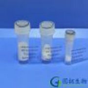 Adrenomedullin (rat)/ADM (1-50) (rat)/Adrenomedullin (1-50)