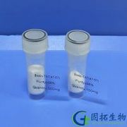 Biotin-TAT(47-57)