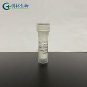 Orexin A (human, rat, mouse)