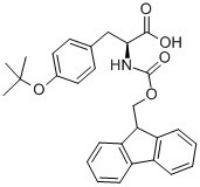 Fmoc-Tyr(tBu)-OH