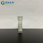 Natriuretic peptide, C-type