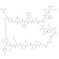 Gastrin-Releasing Peptide, human