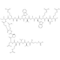 Lysozyme