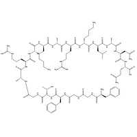 Nociceptin