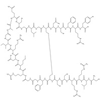 Atrial Natriuretic Peptide (ANP) (1-28)