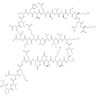 Leptin (22-56), human