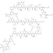 Leptin (22-56), human