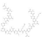 Peptide M