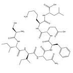 OVA Peptide (257-264) TFA