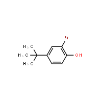 2-Bromo-4-tert-butylphenol