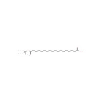 Octadecanedioic acid mono(1,1-dimethylethyl) ester