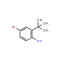 4-Bromo-2-tert-butylphenylamine