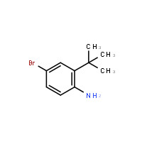 4-Bromo-2-tert-butylphenylamine