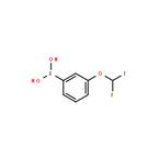 3-(Difluoromethoxy)benzeneboronic acid