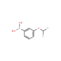 3-(Difluoromethoxy)benzeneboronic acid