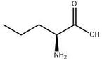 L-Norvaline