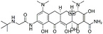 Tigecycline