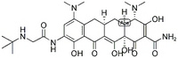 Tigecycline