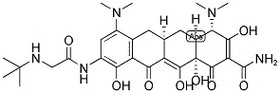 Tigecycline