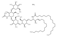 Ganglioside GM1 Asialo Mixture