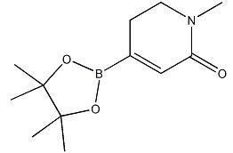 N-methyl-2-pyridione-4-boronic ester