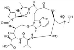 Phallacidin