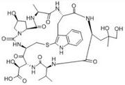 Phallacidin