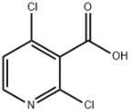 2,4-Dichloropyridine-3-carboxylic acid