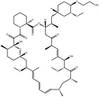 Everolimus