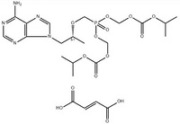 Tenofovir Disoproxil Fumarate